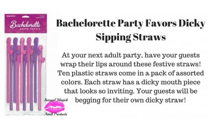 Bachelorette Party Favors Dicky Sipping Straws Bachelorette Party Favors Dicky Sipping Straws